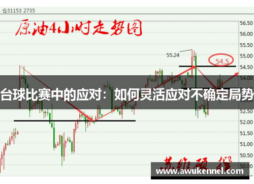 台球比赛中的应对：如何灵活应对不确定局势